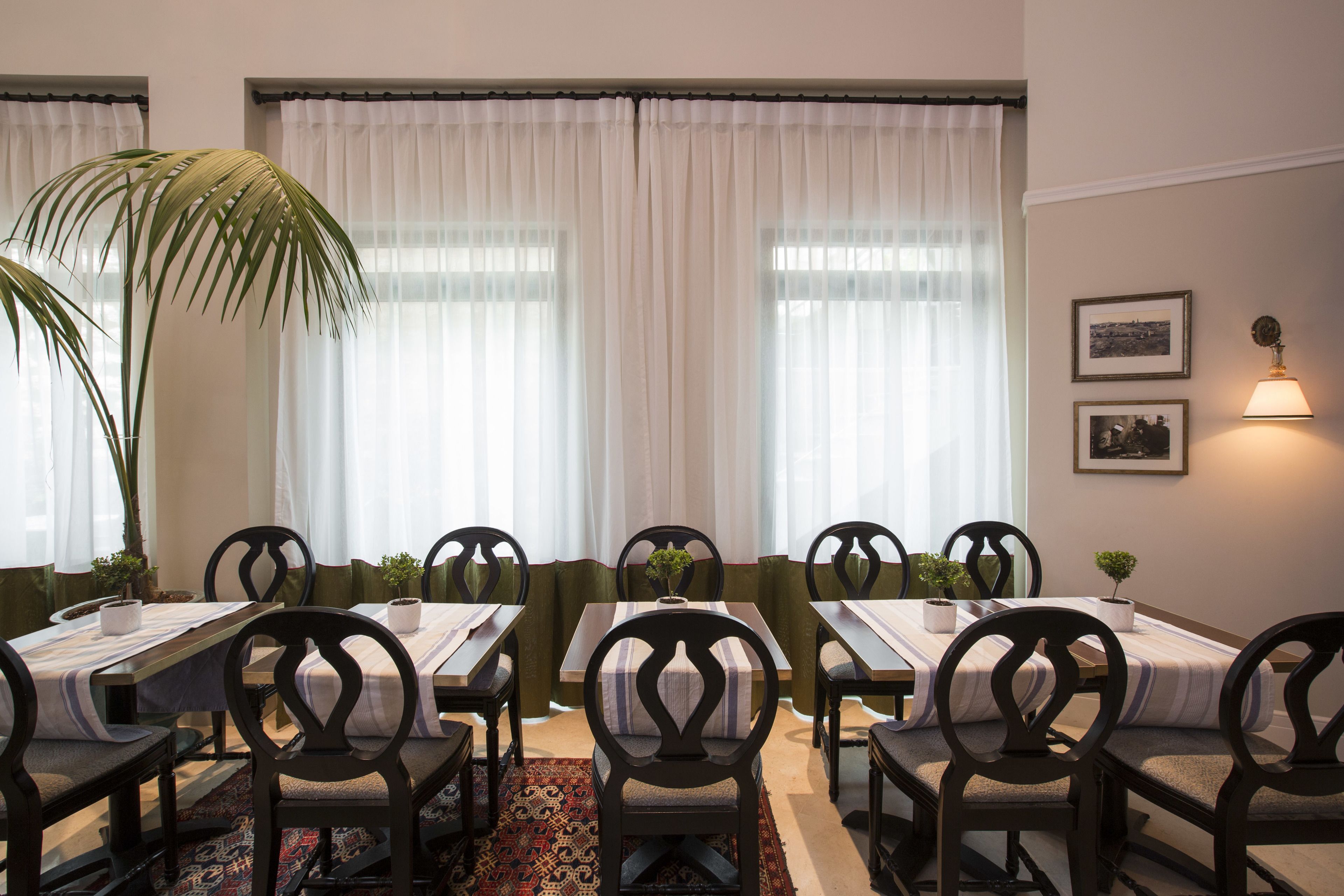 A dining area with a long table, multiple chairs, and a large plant.