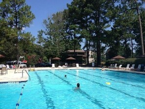 Une piscine entourée d’arbres, avec des chaises longues et des parasols.