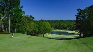 A golf course with a pond, trees, and a clear sky. - The Inn at Houndslake (Aiken)