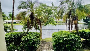 رواق