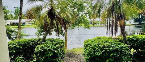 A covered outdoor seating area with two white plastic chairs and a concrete floor, overlooking a body of water and palm trees.