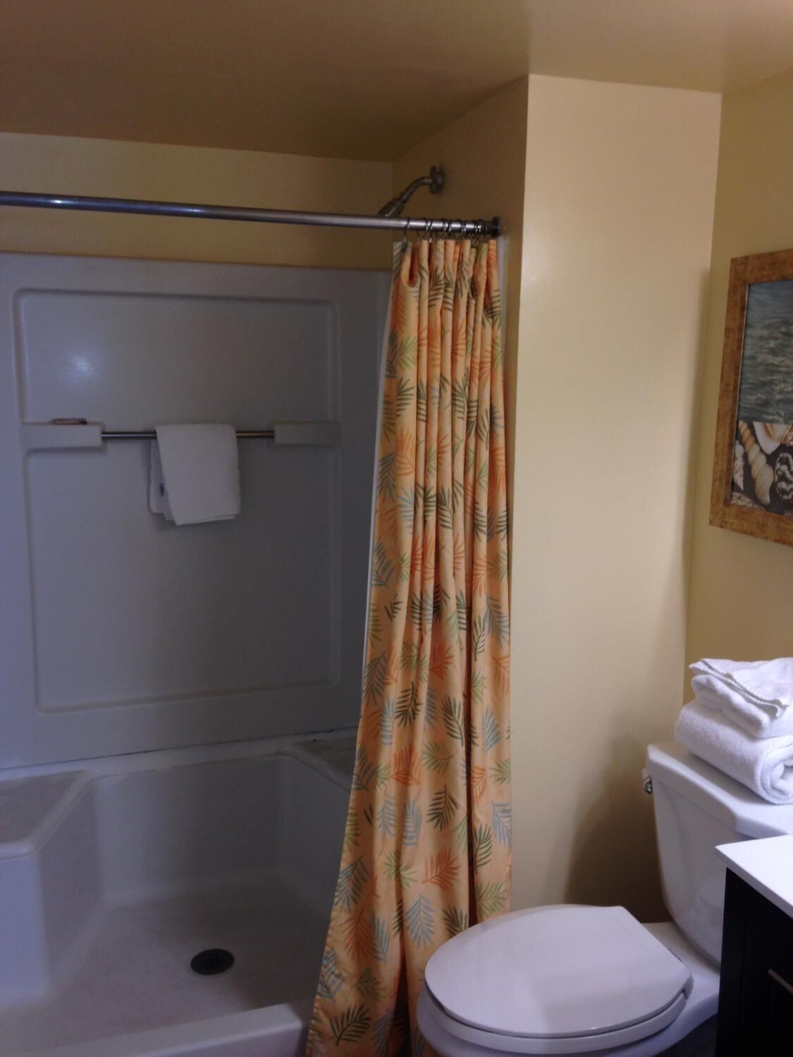 combined shower/bathtub, free toiletries, hair dryer, towels
