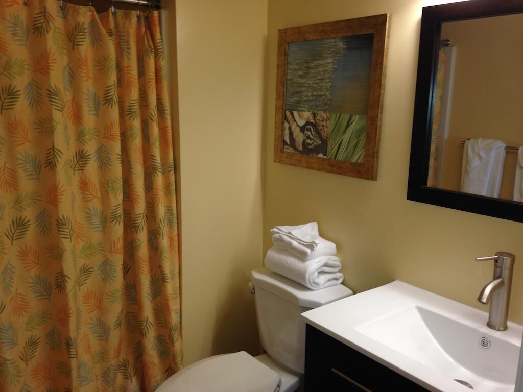 combined shower/bathtub, free toiletries, hair dryer, towels