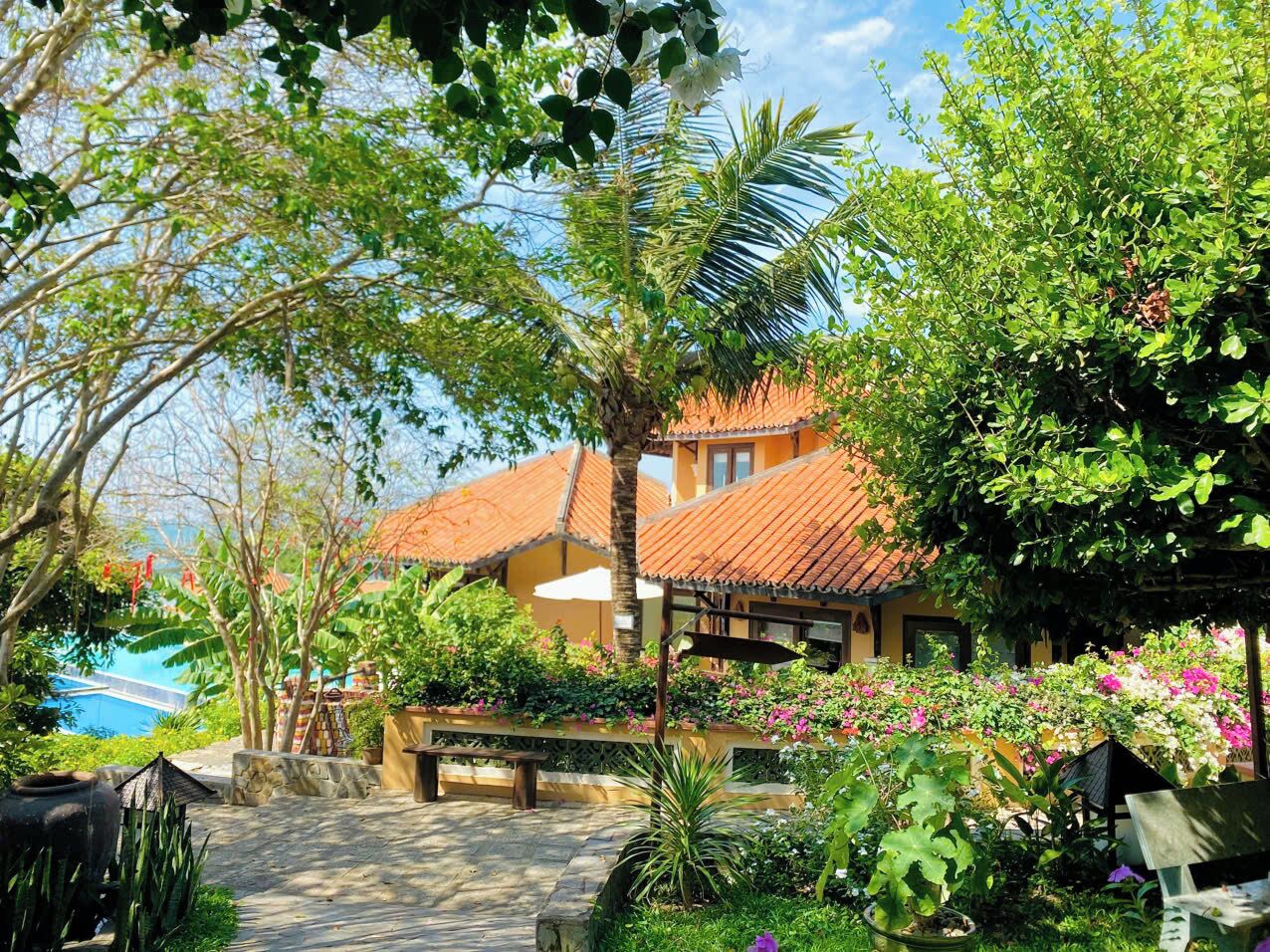 A courtyard with a building, a pathway, and various plants.