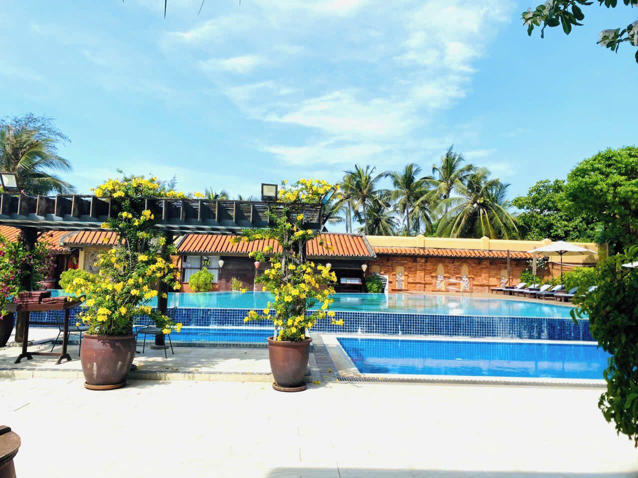 Un área de piscina con solárium empedrado, plantas en macetas y un edificio con tejado de tejas al fondo.