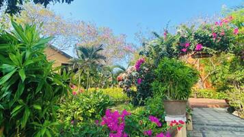 A garden pathway with potted plants and flowering shrubs.