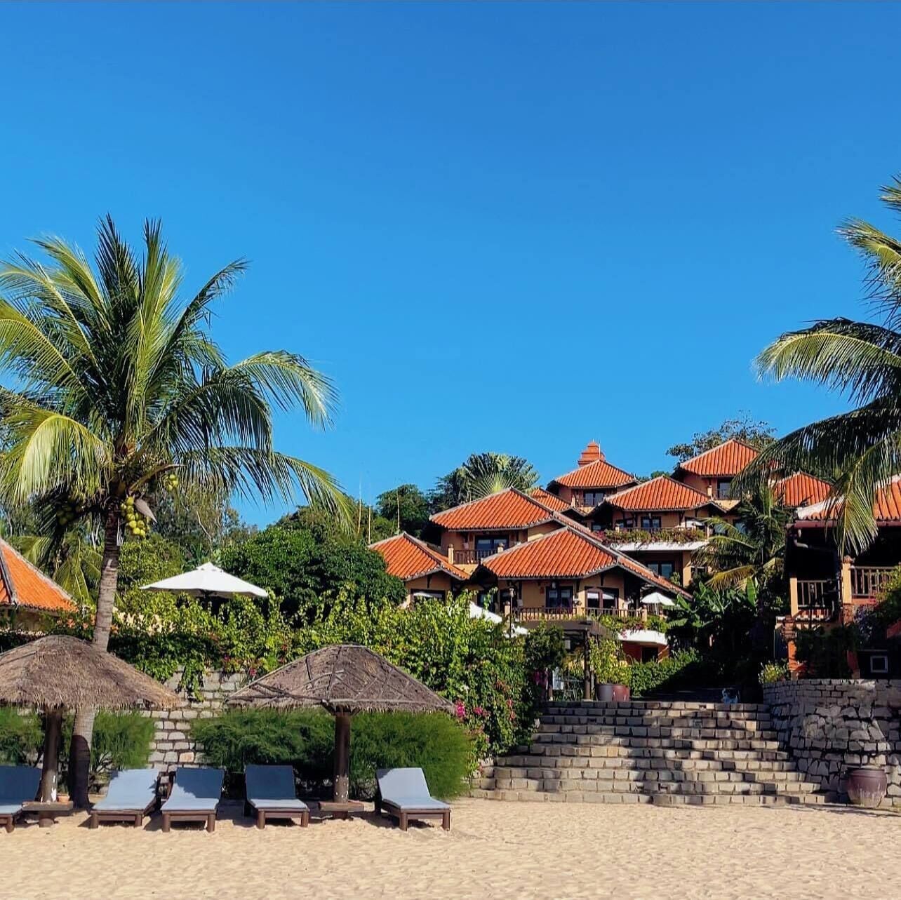 A beachfront resort with multiple buildings, palm trees, and lounge chairs.