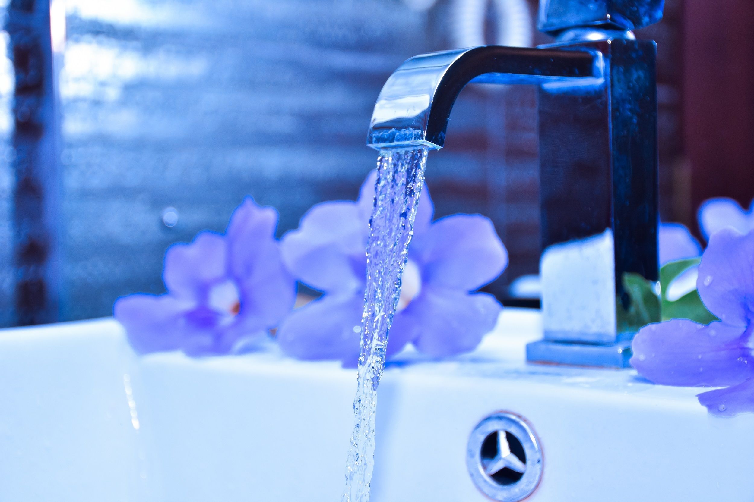 A bathroom sink with a faucet, water running, and purple flowers around it.