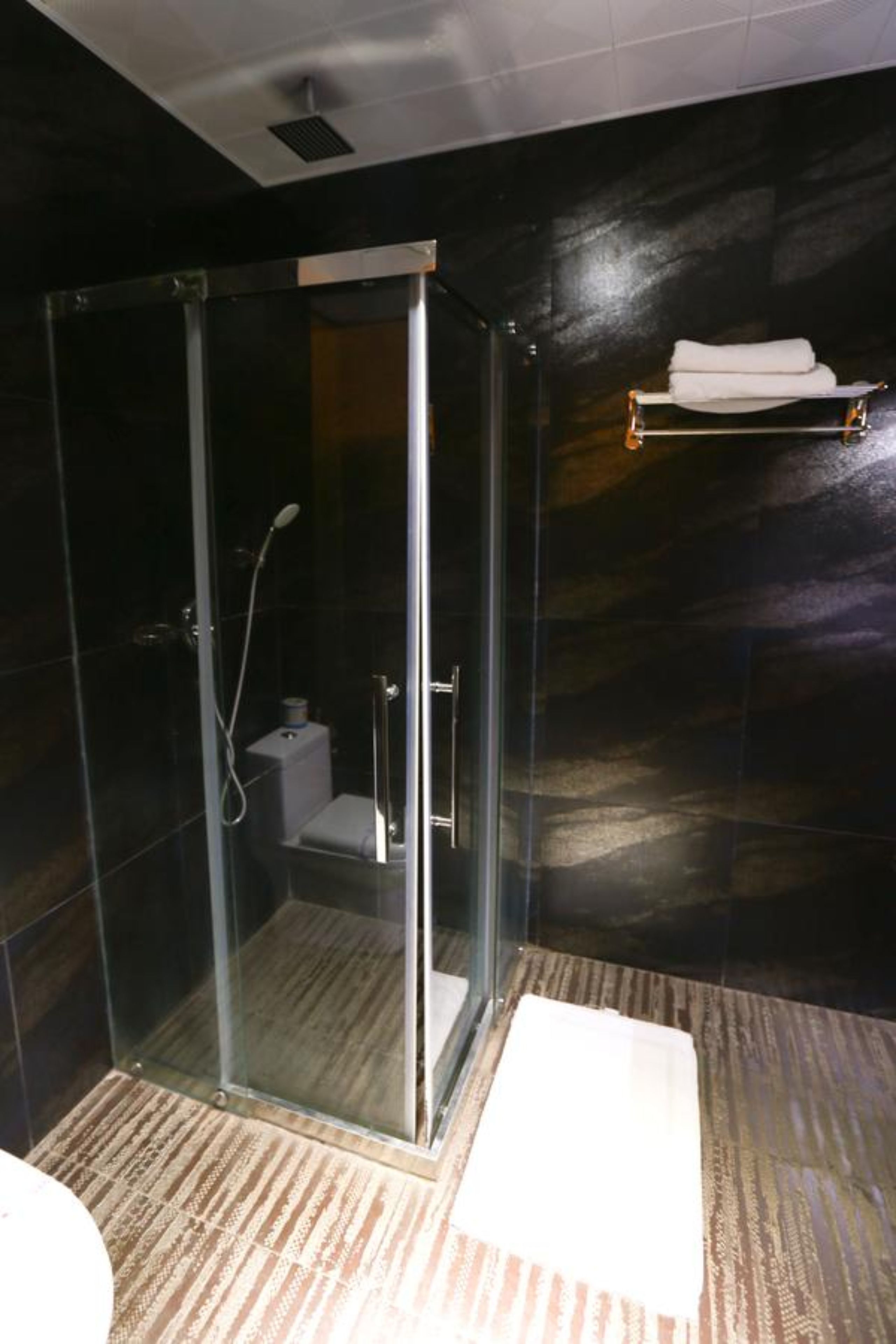 Un baño moderno con ducha acristalada, inodoro y toallero.