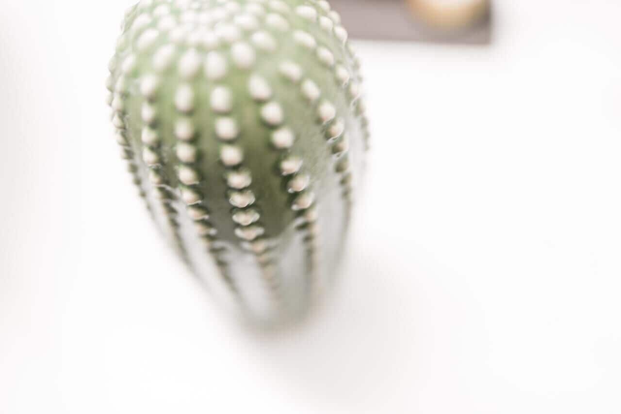 Photo - Agave Santorini Design Boutique Hotel