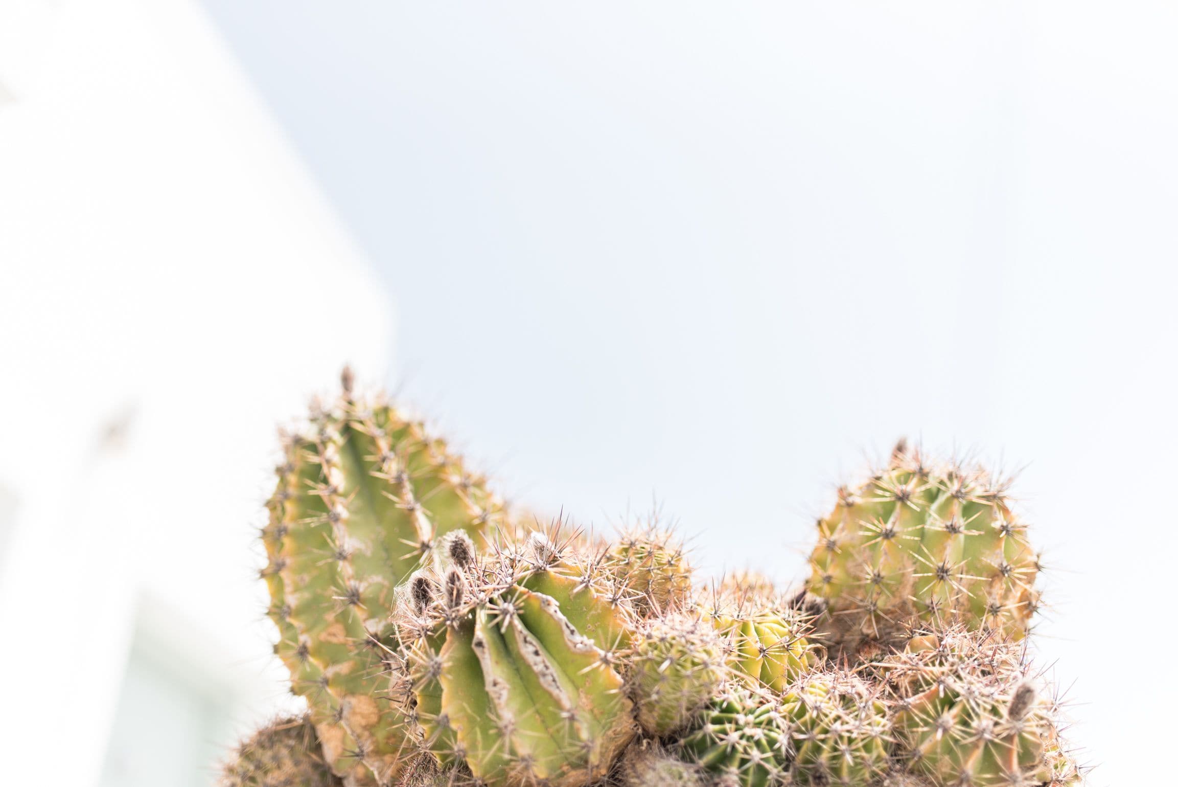 Photo - Agave Santorini Design Boutique Hotel