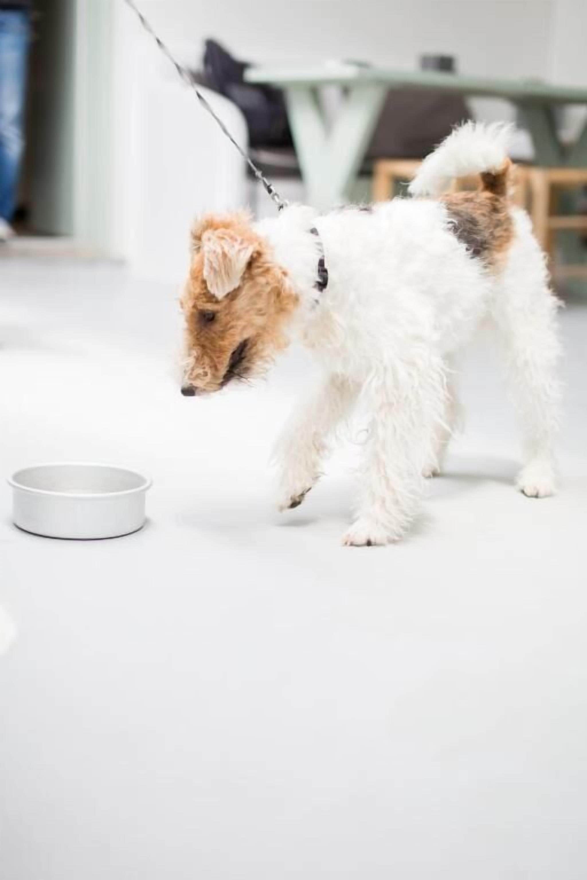 Photo - Agave Santorini Design Boutique Hotel