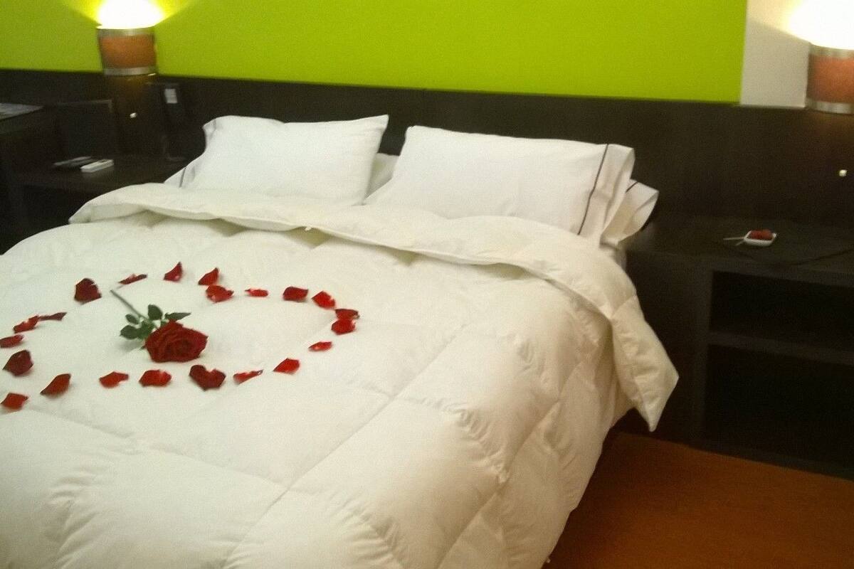 Standard Single Room