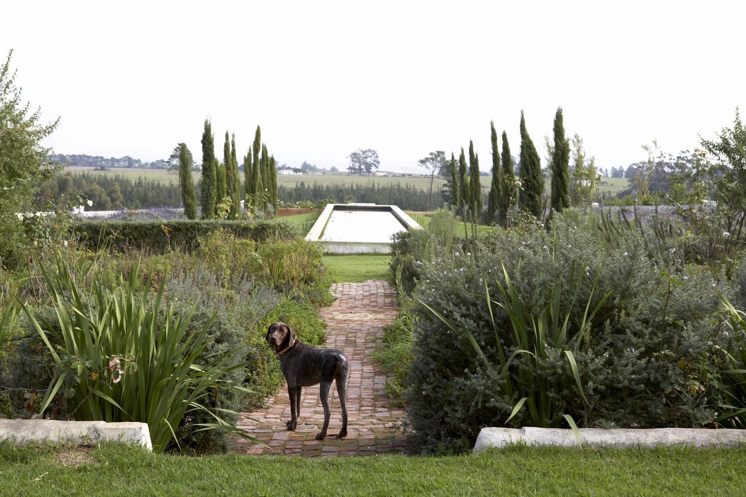 Foto - Hawksmoor House