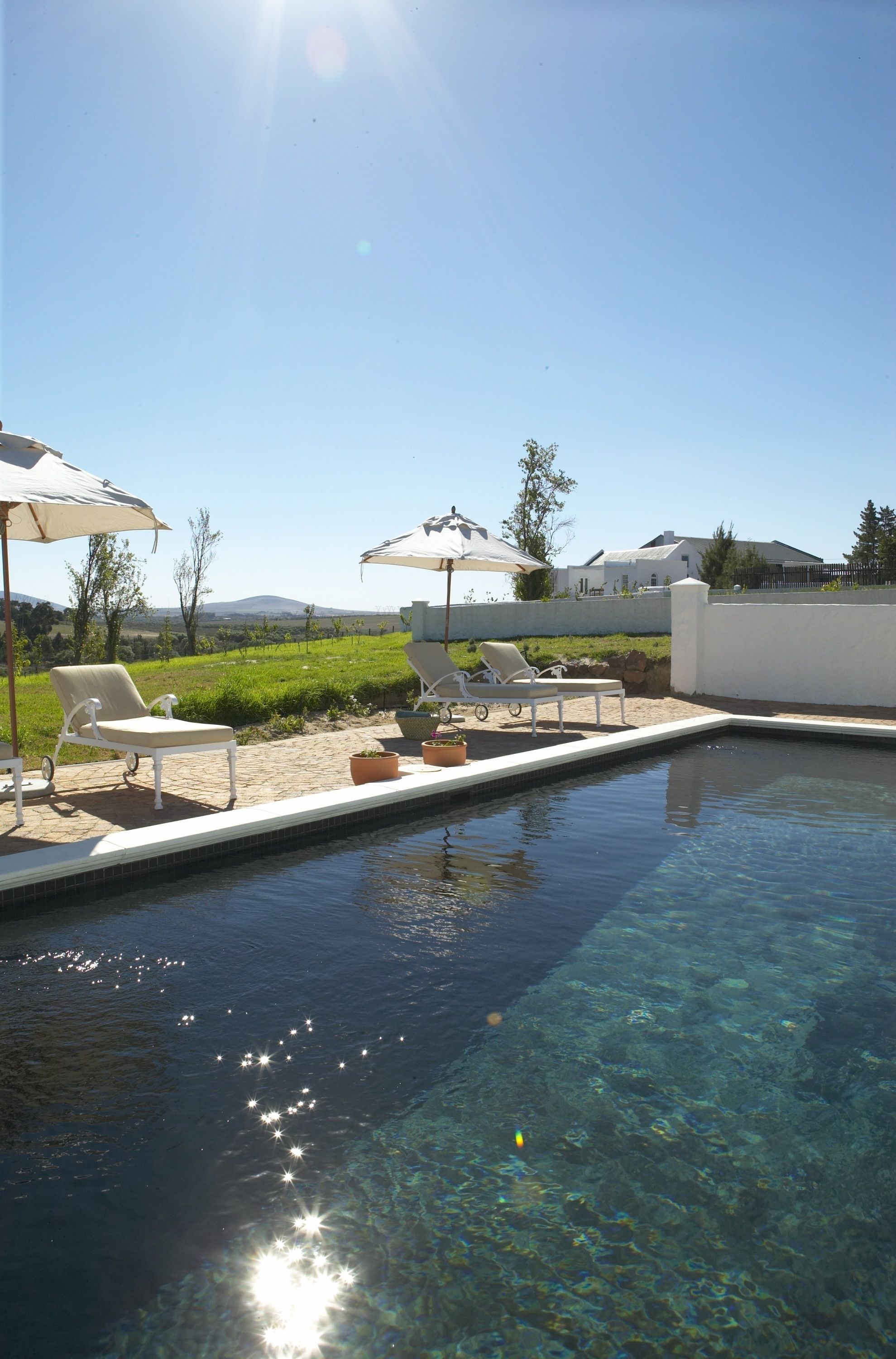 Outdoor pool, pool umbrellas, pool loungers