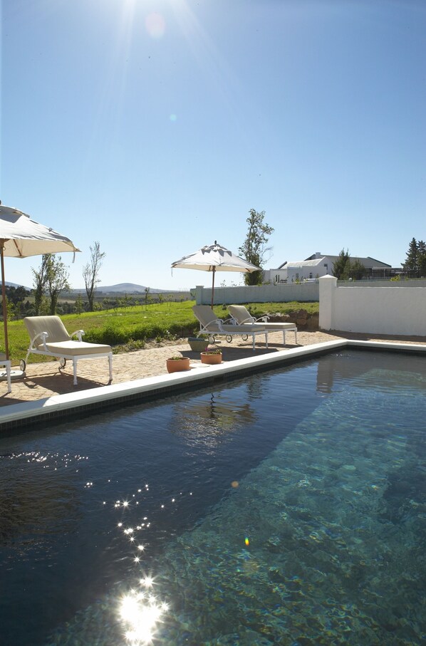 Outdoor pool, pool umbrellas, pool loungers