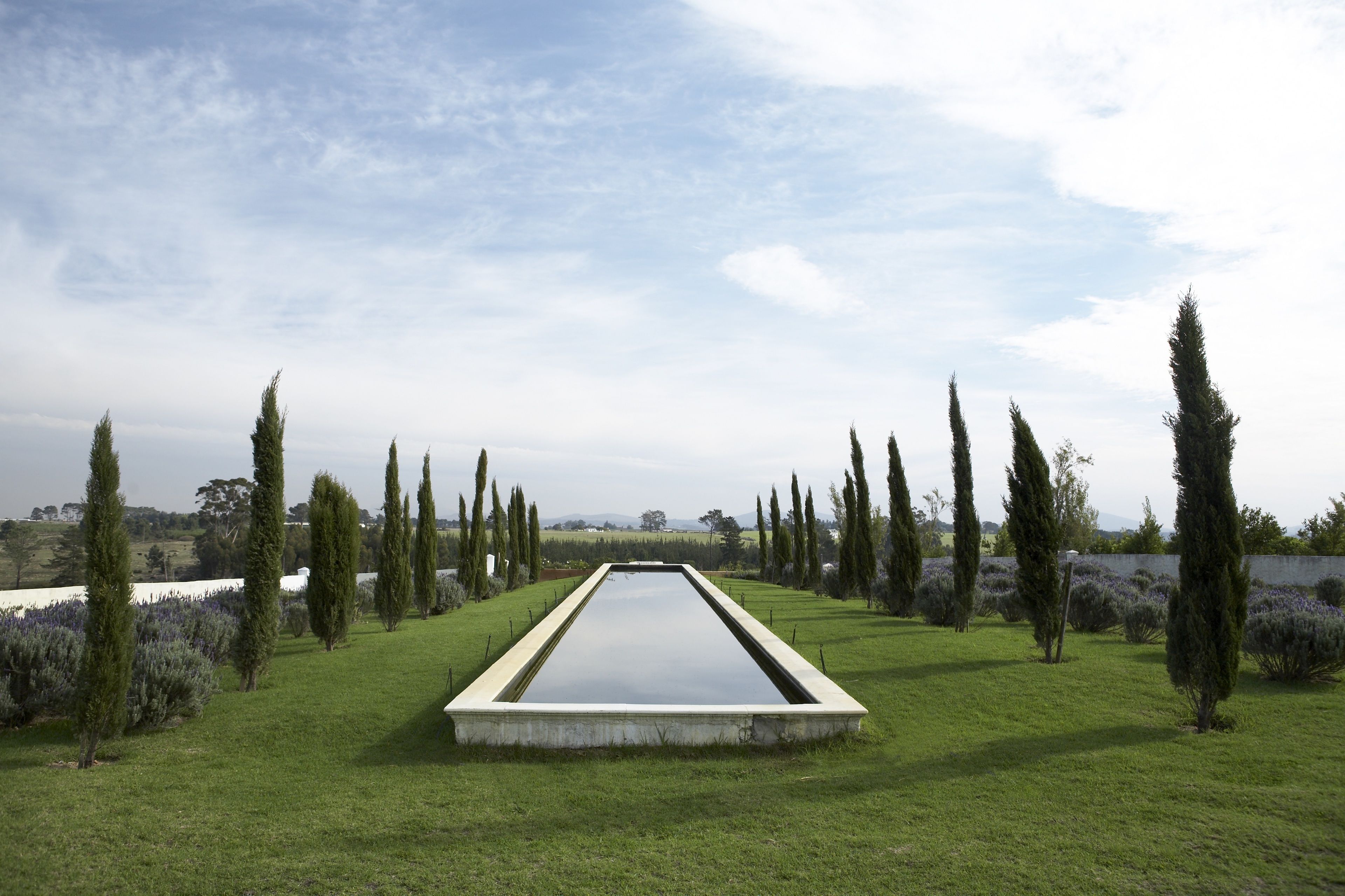 Una fuente rectangular rodeada de setos y árboles bien cuidados en un jardín ajardinado.