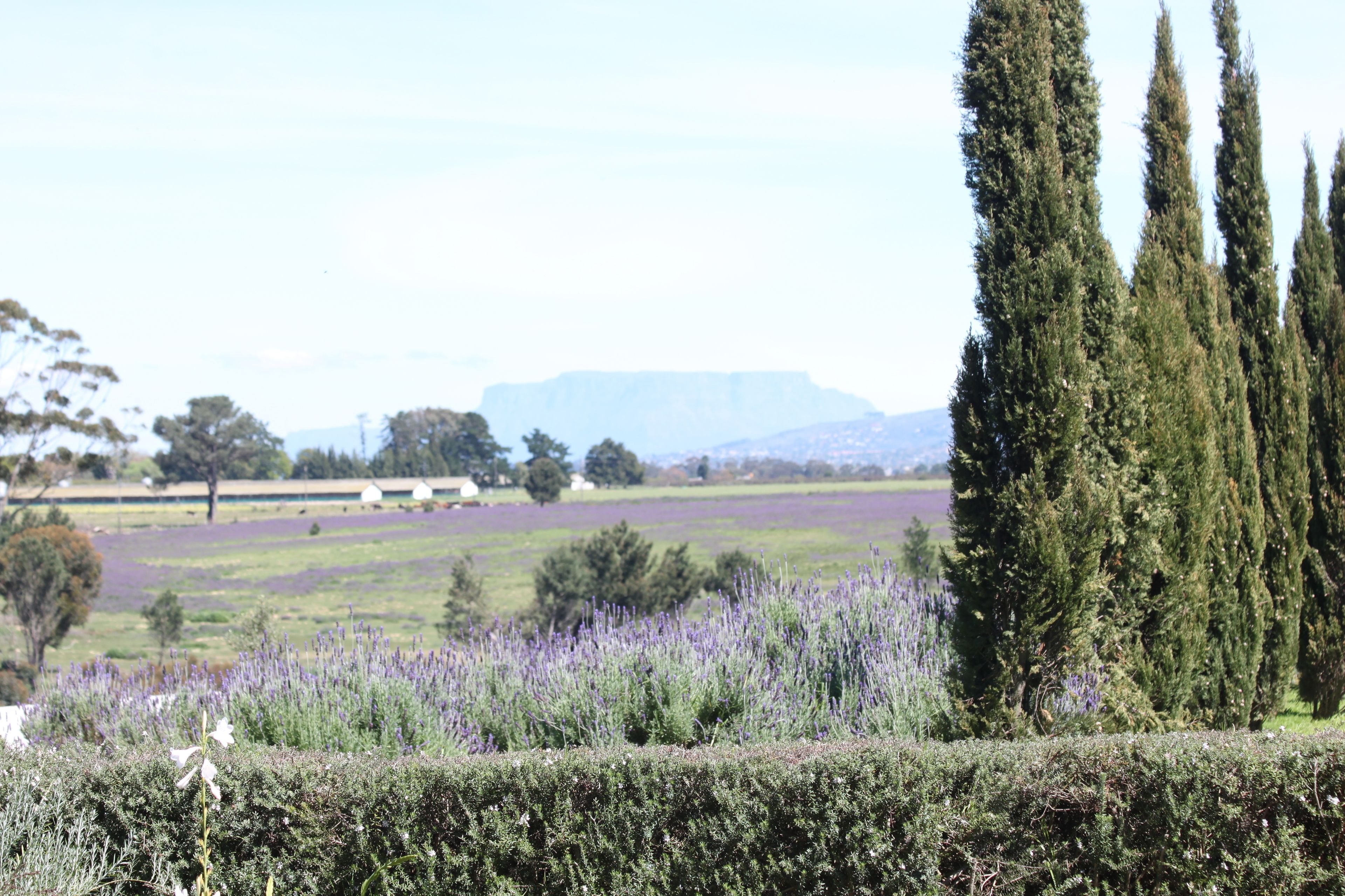 Foto - Hawksmoor House