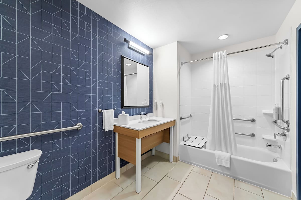 combined shower/bathtub, free toiletries, hair dryer, towels