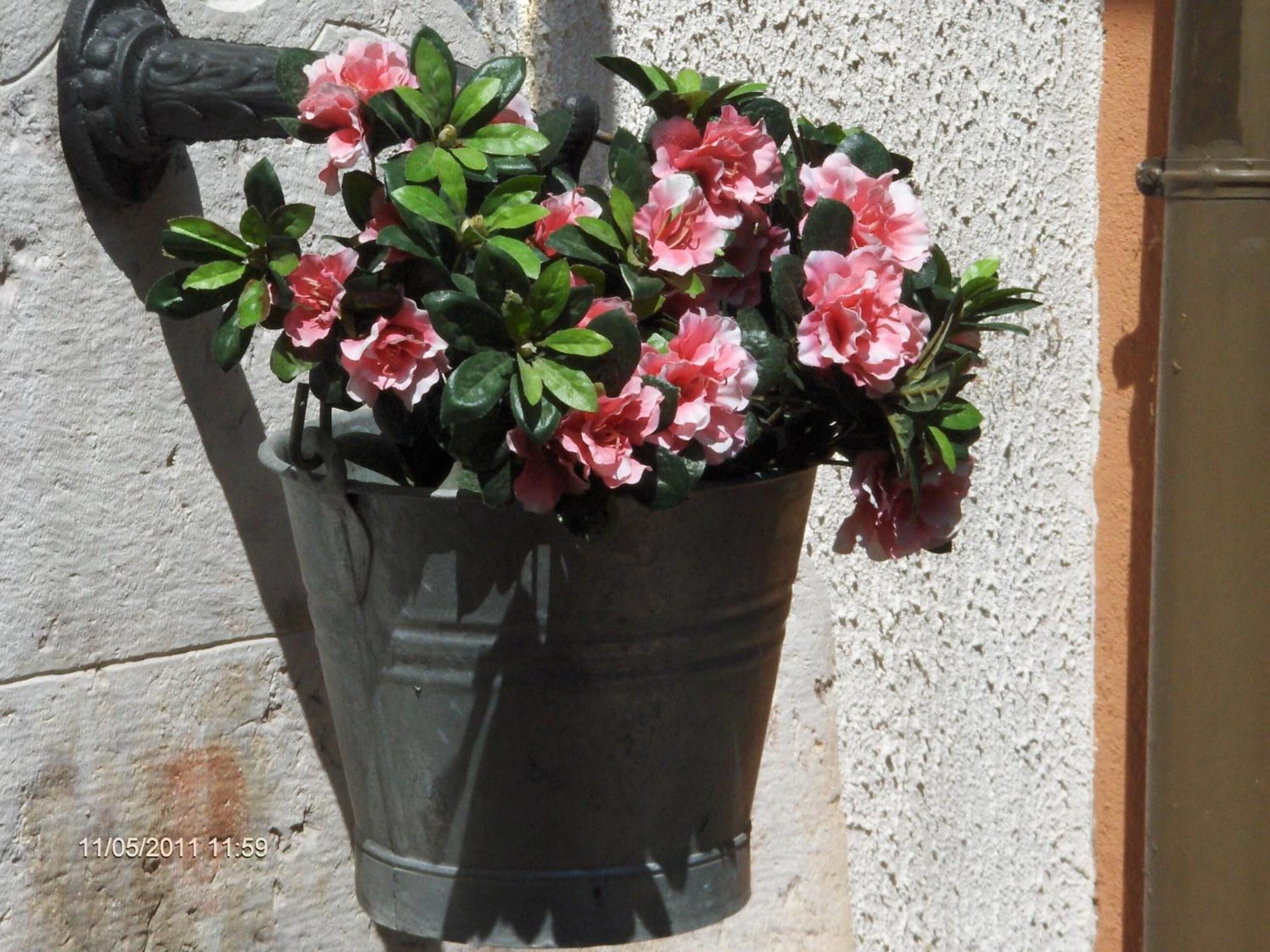 A metal bucket planter with pink flowers against a textured wall.