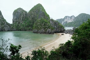 Beach nearby, kayaking, fishing
