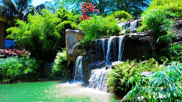 A waterfall cascading into a pond surrounded by lush greenery and tropical plants. - Speke Resort & Conference Centre (Kampala)