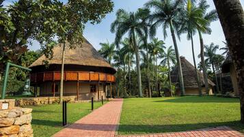 A thatched-roof building with a wooden balcony, surrounded by palm trees and a paved walkway.