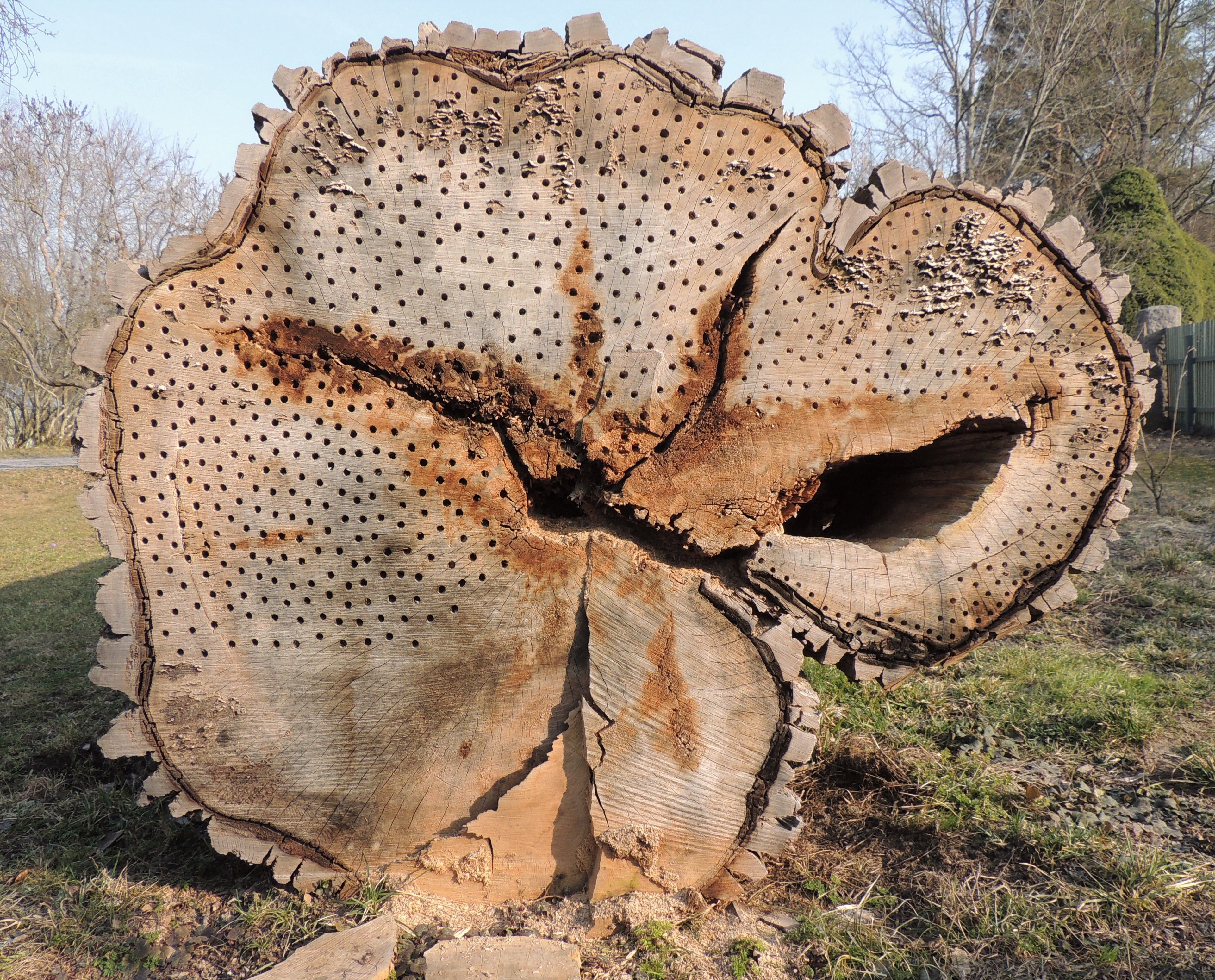 children’s play area – outdoor