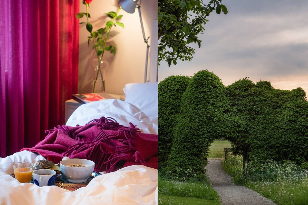 1 bedroom, hypo-allergenic bedding, down duvets, desk