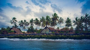 A coastal resort with palm trees, a stone wall, and buildings with thatched roofs.