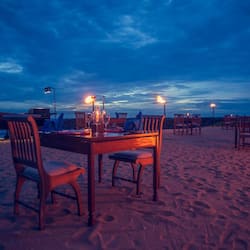 International cuisine, garden views
