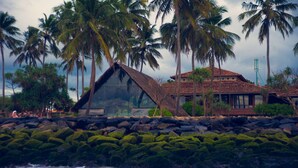 A coastal building with a thatched roof, surrounded by palm trees and a rocky shoreline.