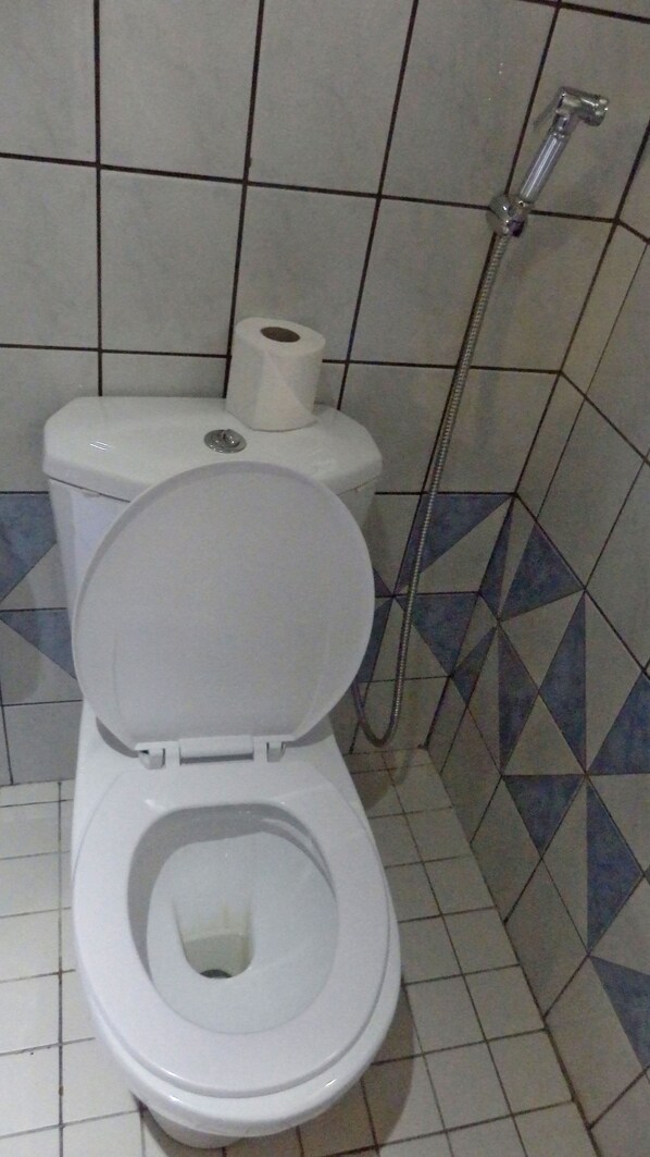 Un inodoro blanco estándar con la tapa cerrada, un rollo de papel higiénico y una manguera de ducha.