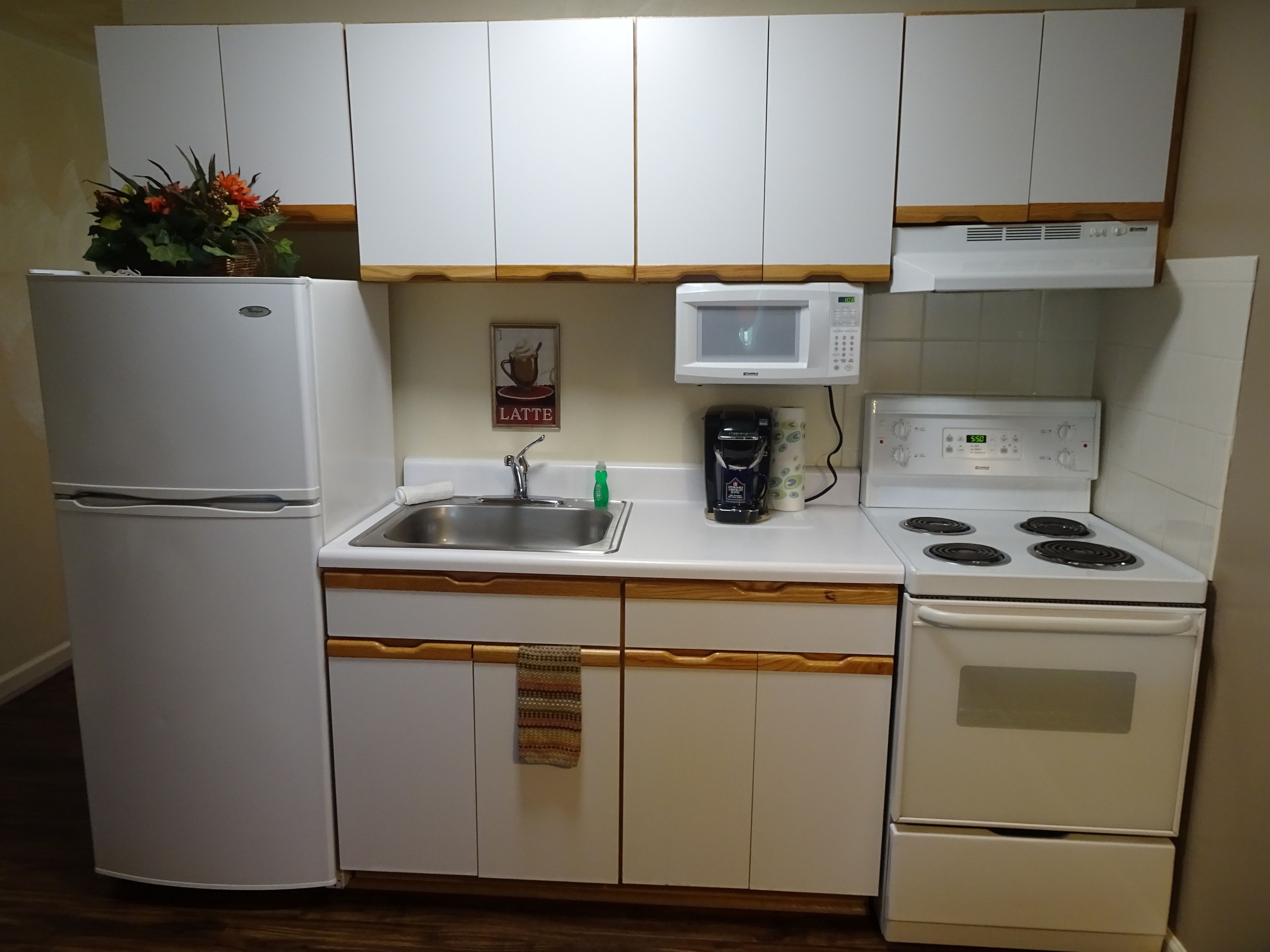 Frigorífico grande, microondas, horno y placa de cocina