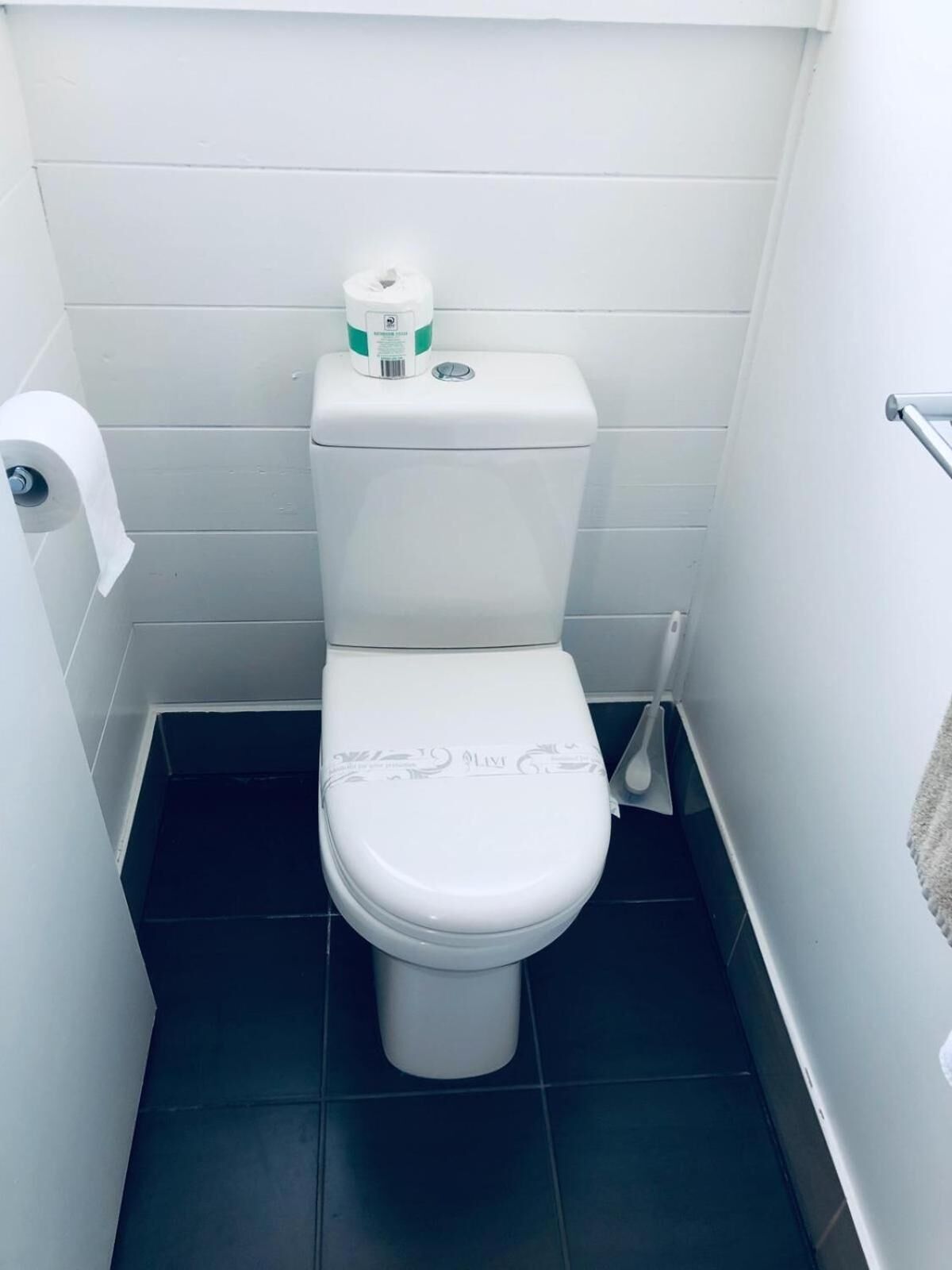 Valkoinen wc-istuin, jonka päällä on paperipyyhkeiden pidike, wc-harja ja oikealla puolella pyyhekoukku.