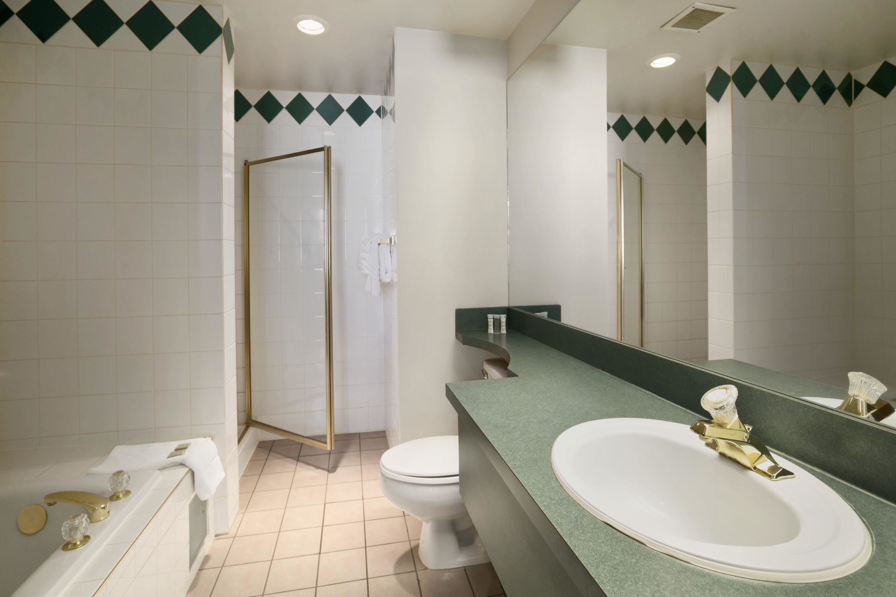 Suite Studio, 2 grands lits, non-fumeurs | Salle de bain | Articles de toilette gratuits, sèche-cheveux, serviettes fournies