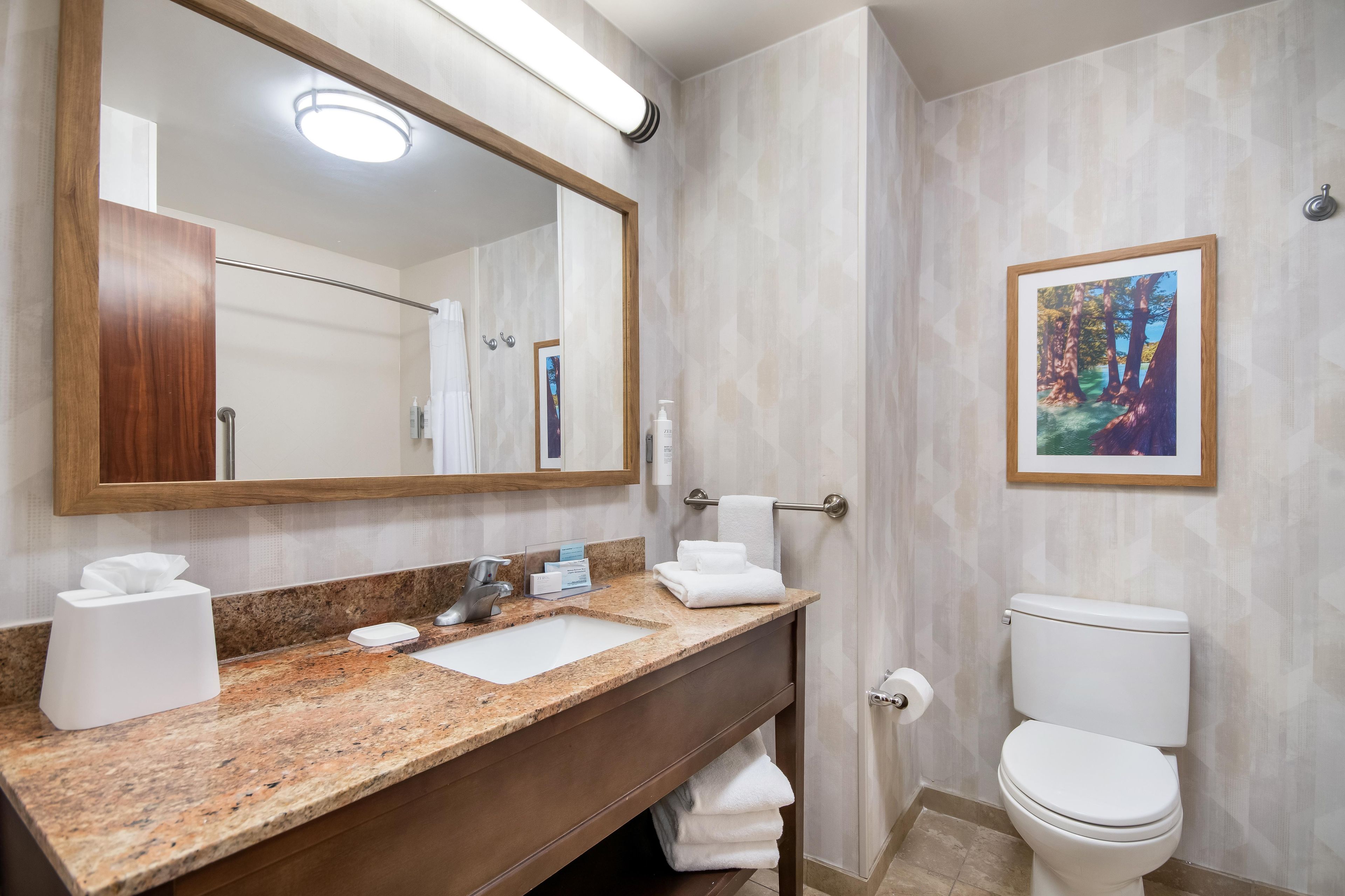 A bathroom with a marble sink, a large mirror, a framed picture on the wall, and a white toilet.