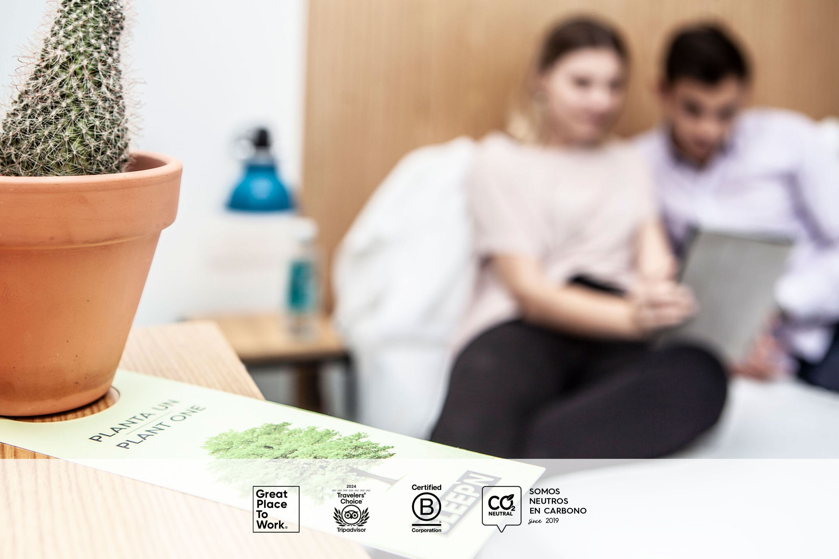 Un cactus en una maceta de barro sobre una mesa con un folleto titulado "PLANTA UN PLANTE ONE" y varios logotipos de certificación.