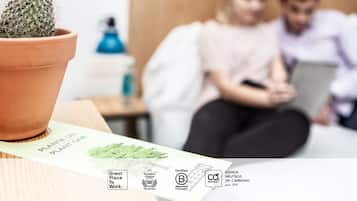 Un cactus en una maceta de barro sobre una mesa con un folleto titulado "PLANTA UN PLANTE ONE" y varios logotipos de certificación.