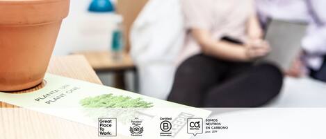 A cactus in a terracotta pot on a table with a booklet titled "PLANTA UN PLANTE ONE" and various certification logos.