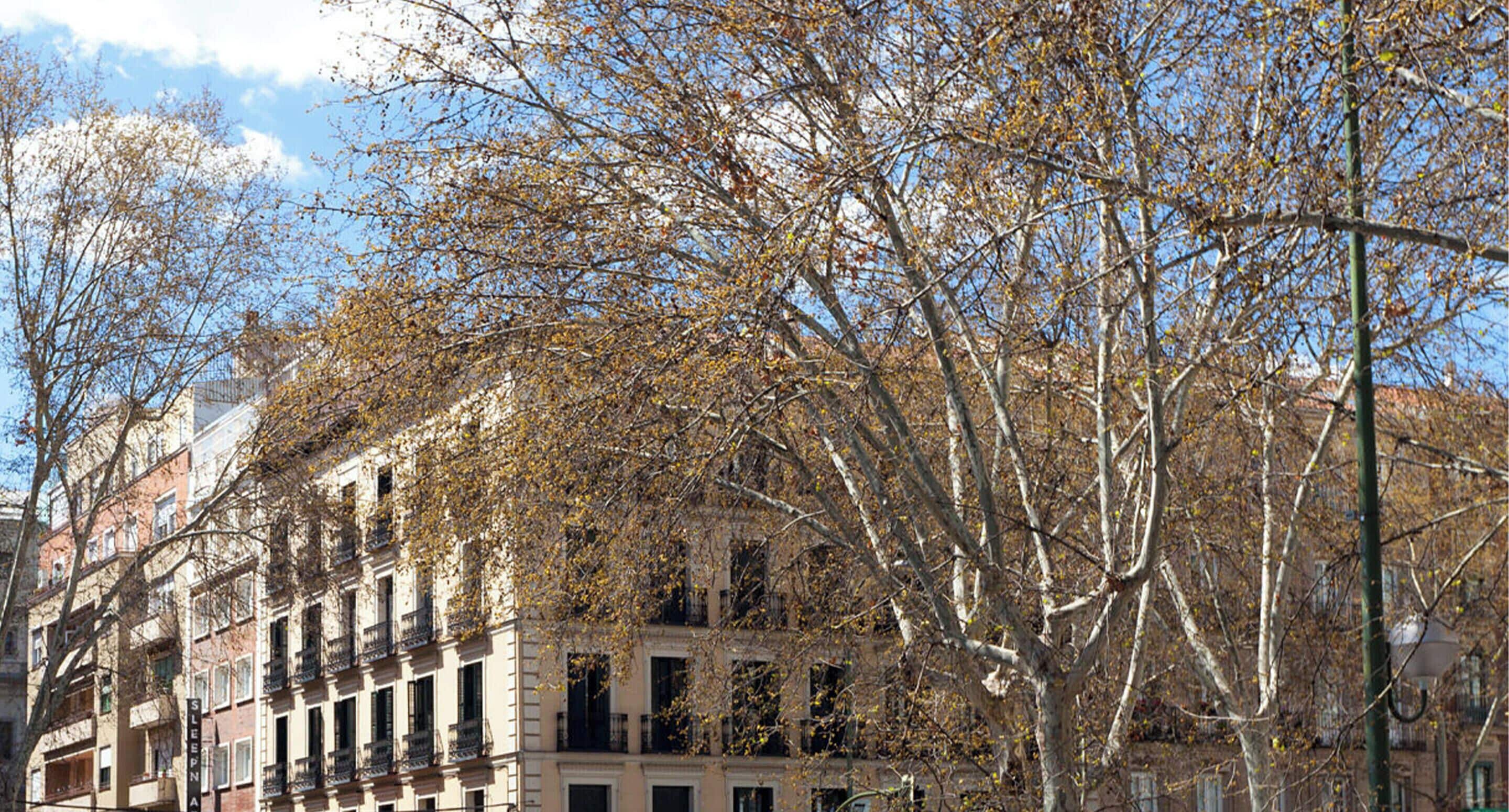 Foto - SLEEP'N Atocha - B Corp Certified