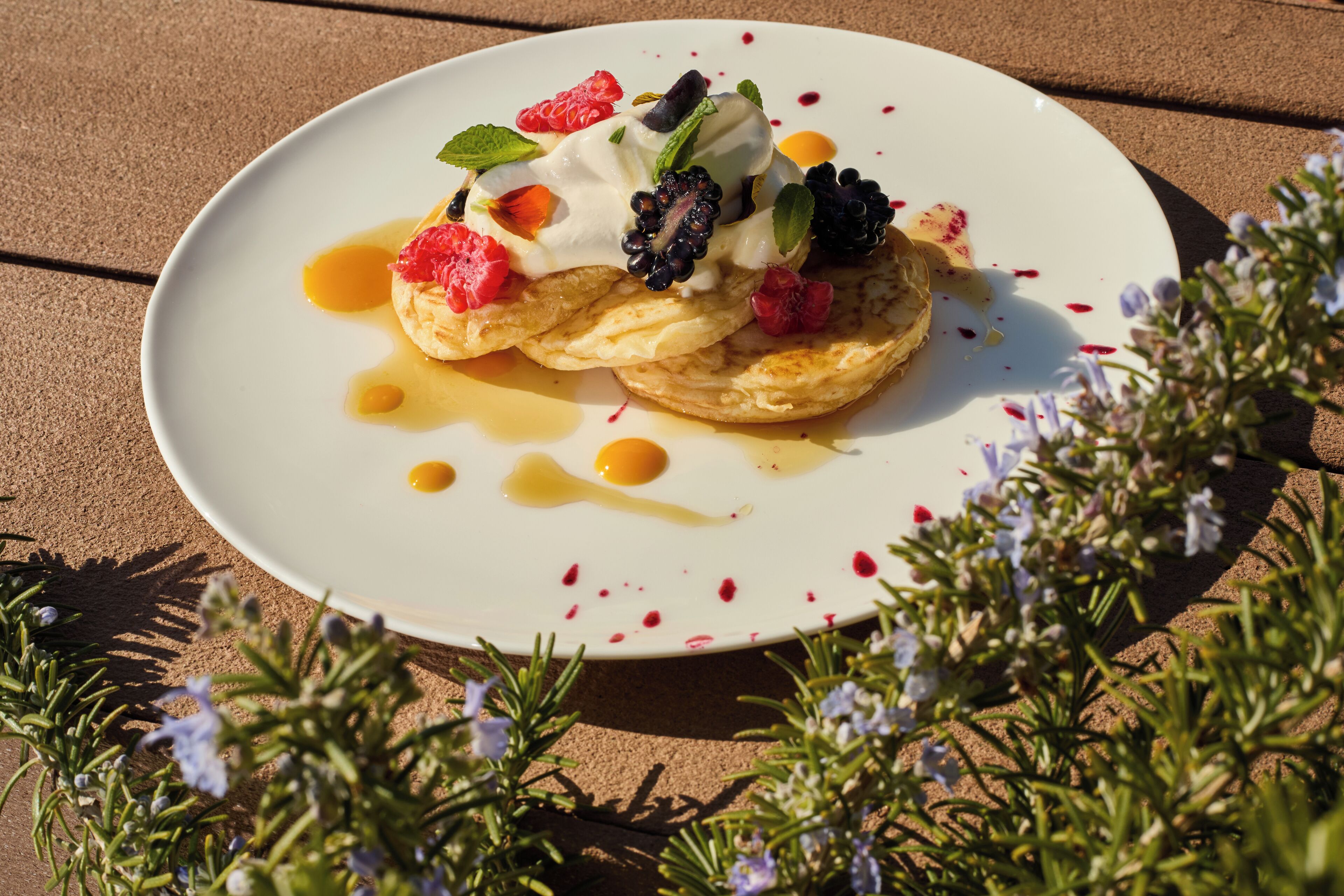 A dessert on a white plate with fruit and sauce, surrounded by greenery.