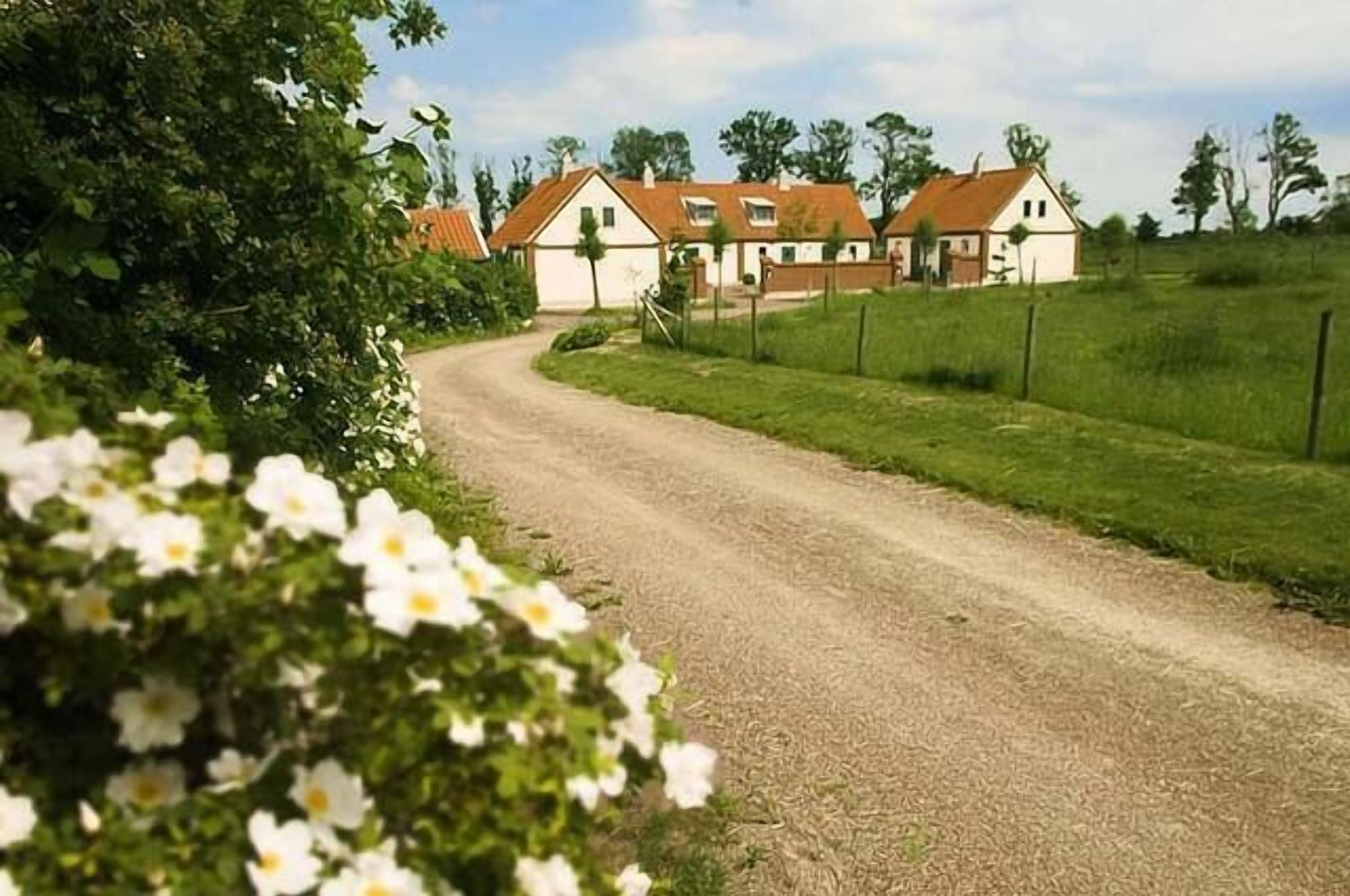 A rural road leading to a row of white houses with red roofs.