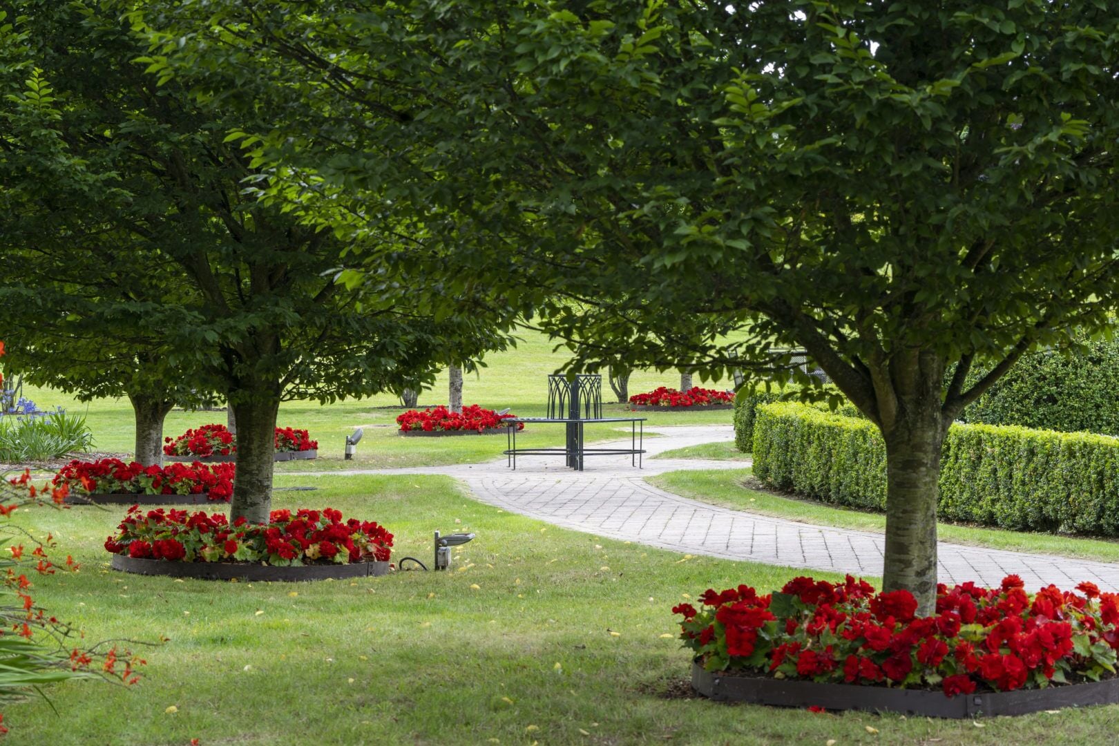 Un parque con senderos, bancos y parterres de flores.