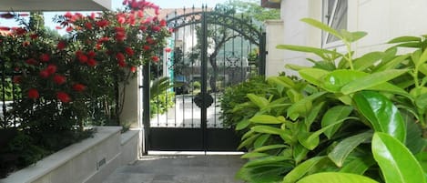 A gated entrance with a metal gate, a concrete pathway, and lush green plants on either side.