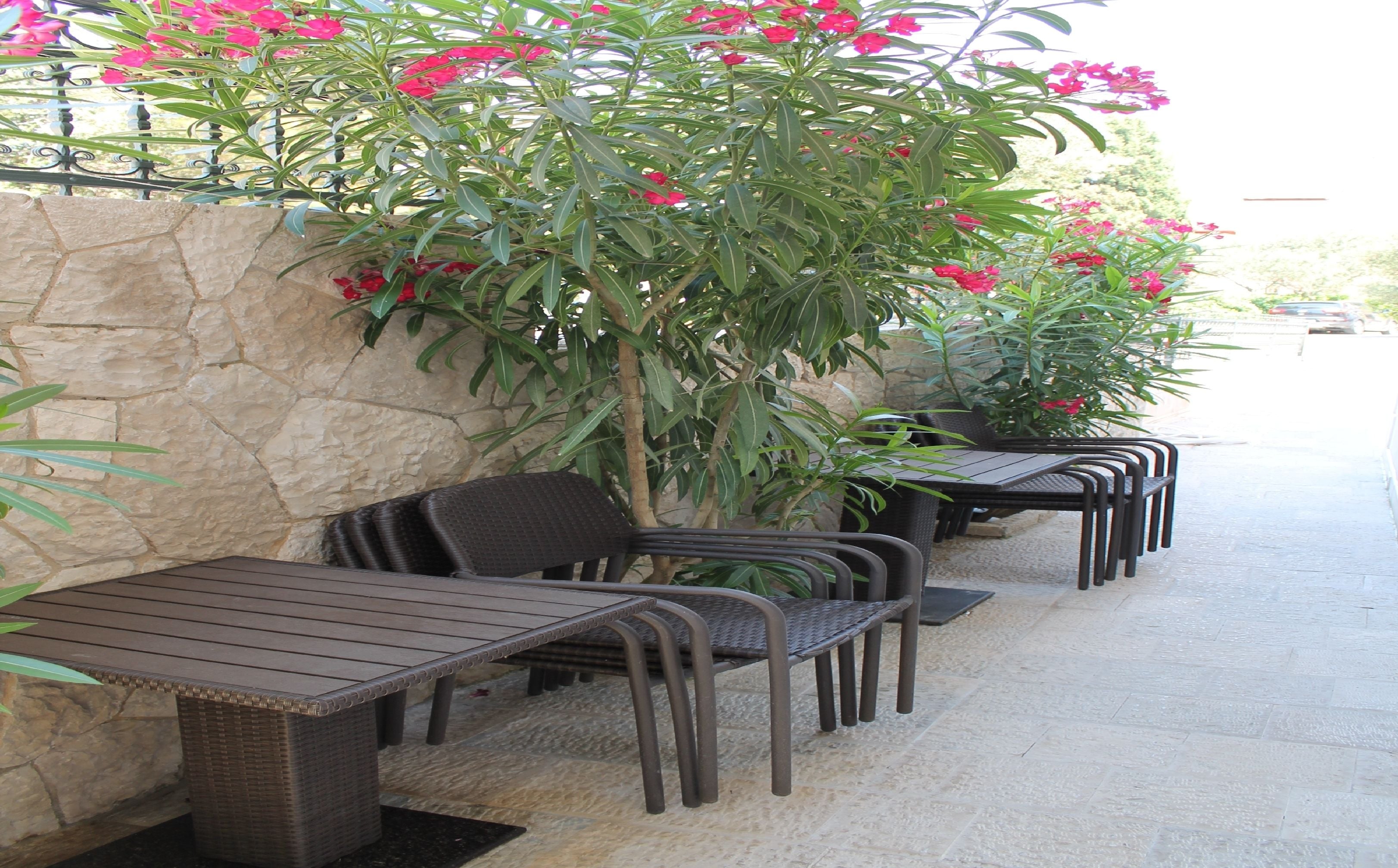 Outdoor seating with stone walls and a tree with pink flowers.