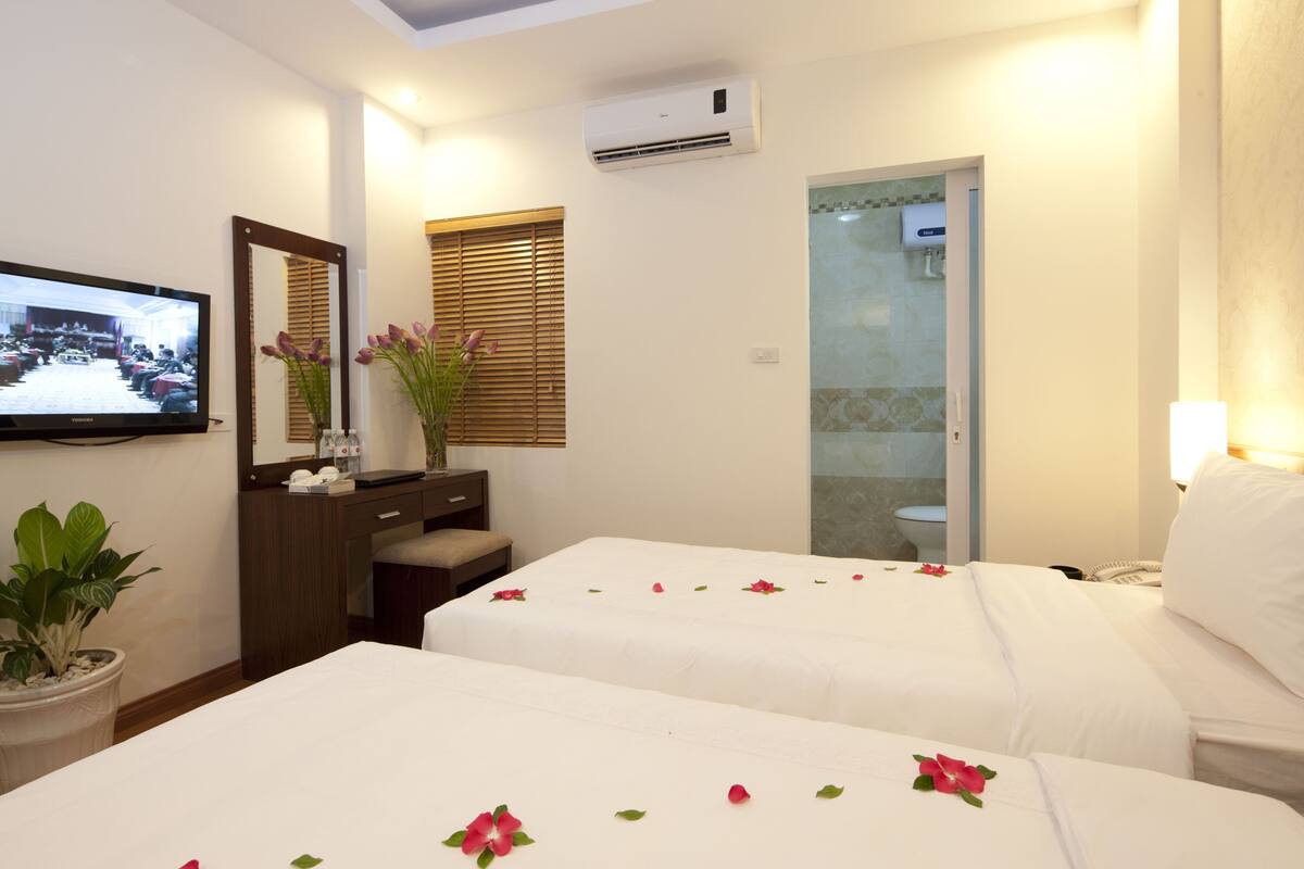A hotel room with two beds, a TV, a desk with a mirror, a potted plant, and a shower area.