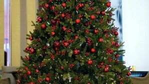 Un sapin de Noël décoré de boules rouges et illuminé, placé dans un hall d'entrée.