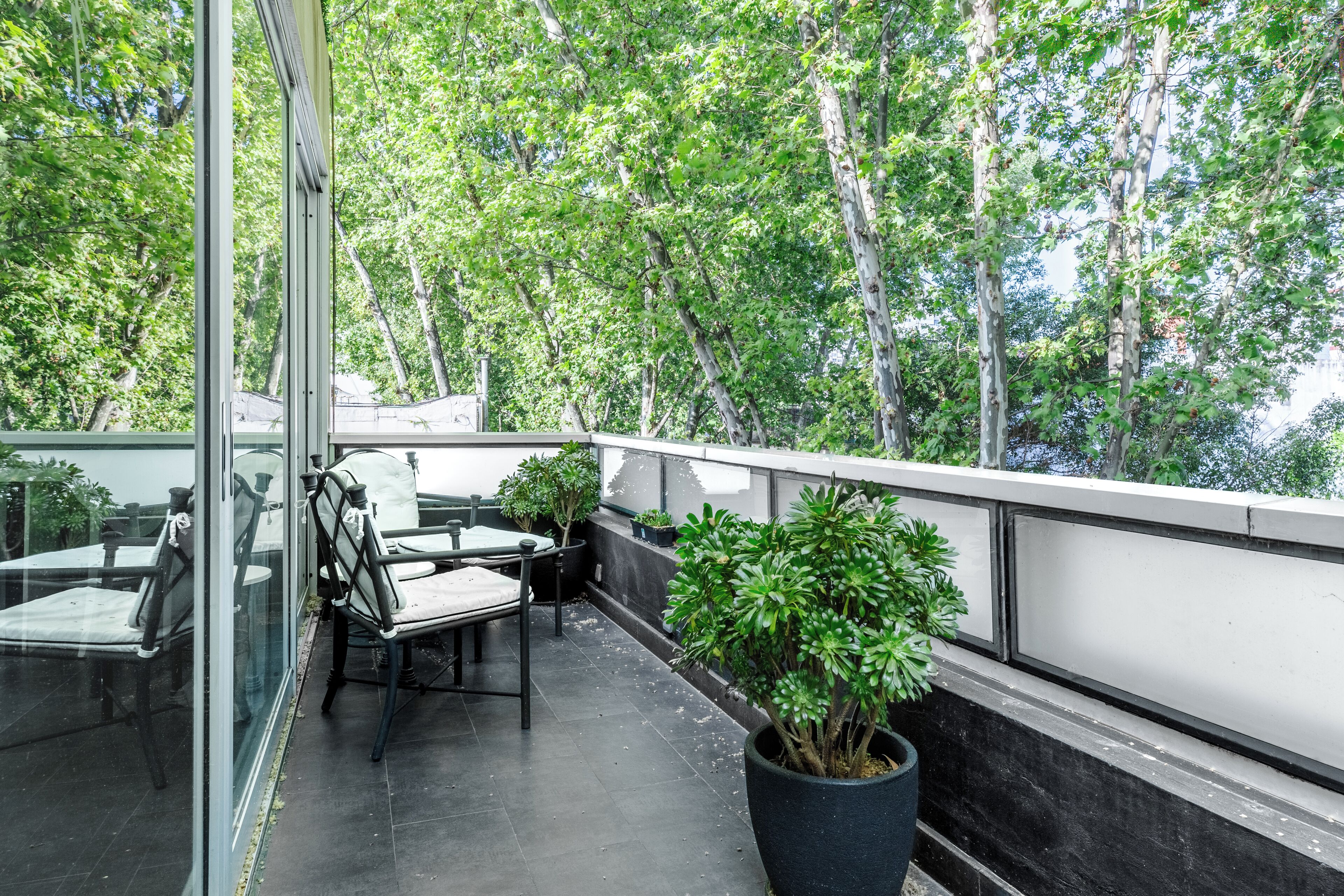 Luxury Suite | Balcony view