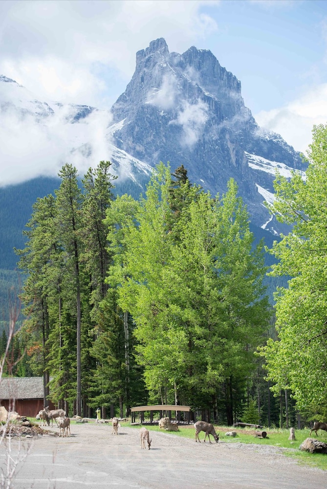 Banff Gate Mountain Resort by null
